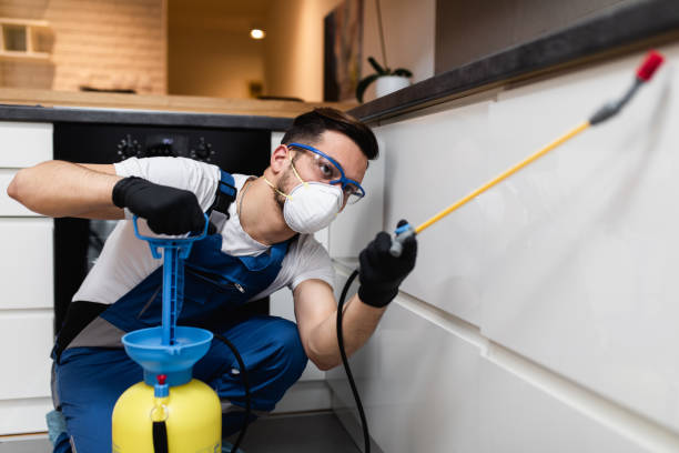 Best Bed Bug Extermination  in Riverview, MO