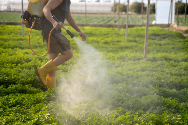 Pest Prevention Services in Riverview, MO