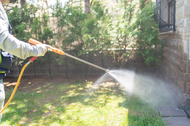 Best Exterminator Services  in Riverview, MO
