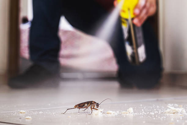 Wildlife Control Services in Riverview, MO