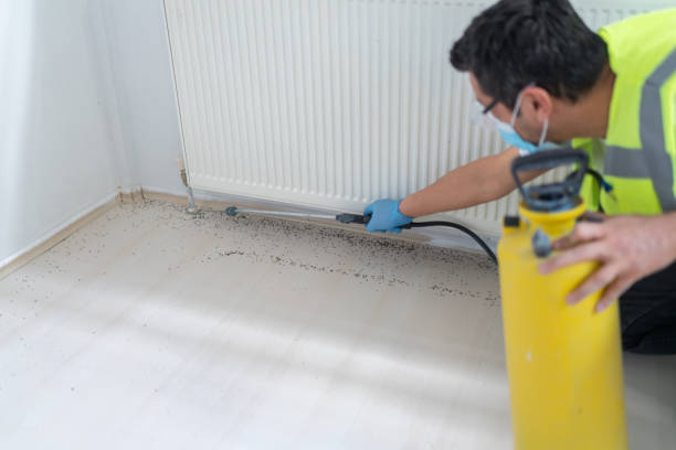 Best Ant Control Services  in Riverview, MO